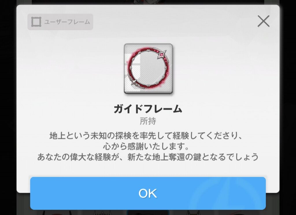 ガイドフレームの画像