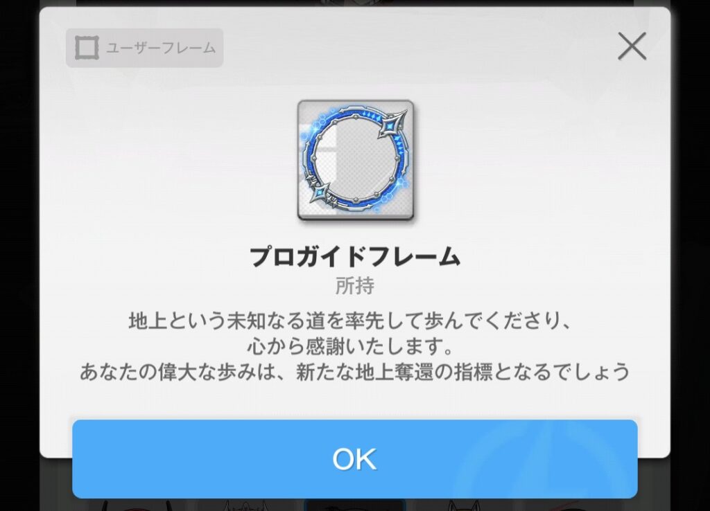 プロガイドフレームの画像
